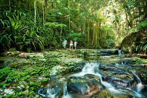 The Channon, Protesters Falls, Nimbin and Mount Nardi
