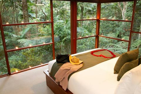 Rainforest View from Creekside Spa Cabin