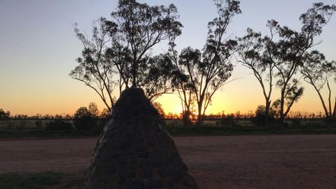 "Talgong"