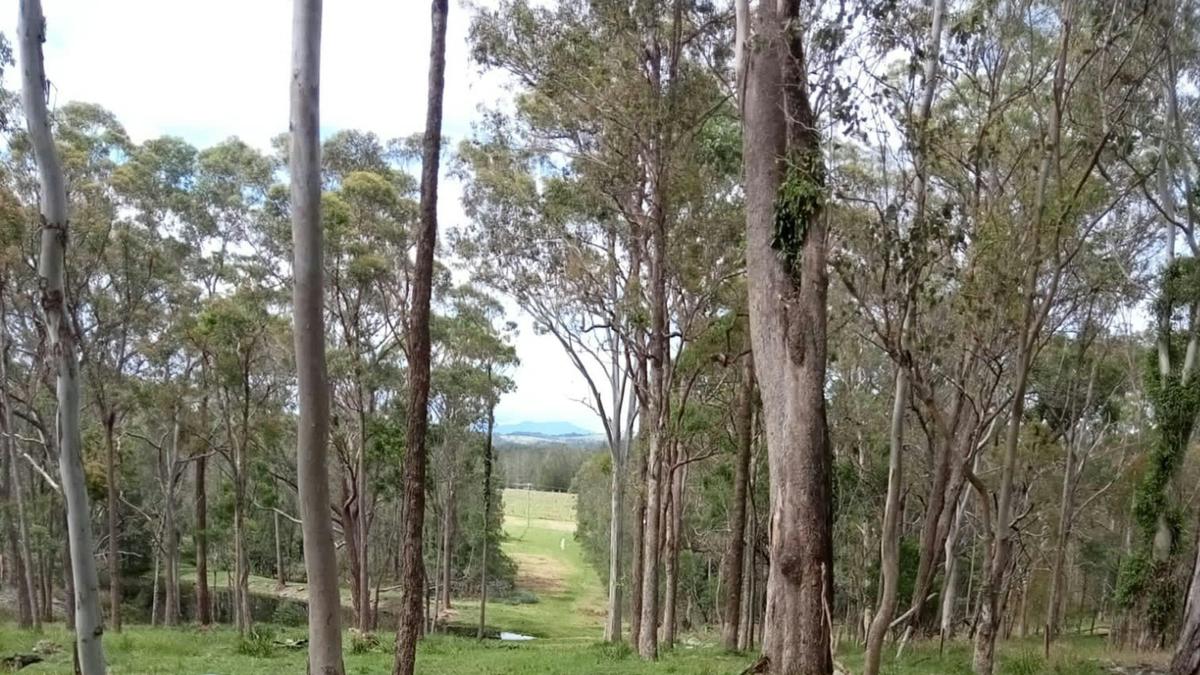 10 Acres on Congo