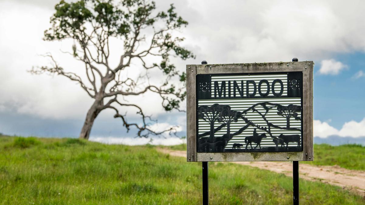 Mindoo