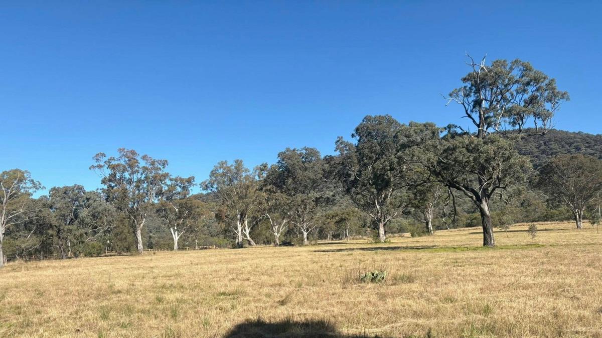 111 Yarraman Farmstead