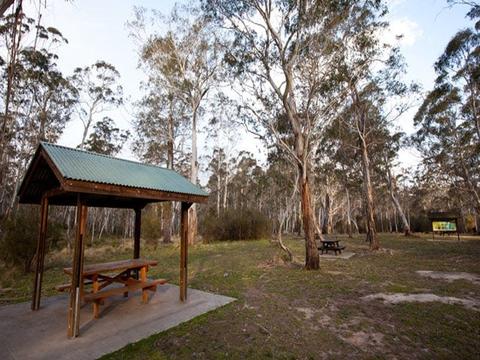 Berlang campground shelter, Deua National Park. Photo: Lucas Boyd Copyright:NSW Government