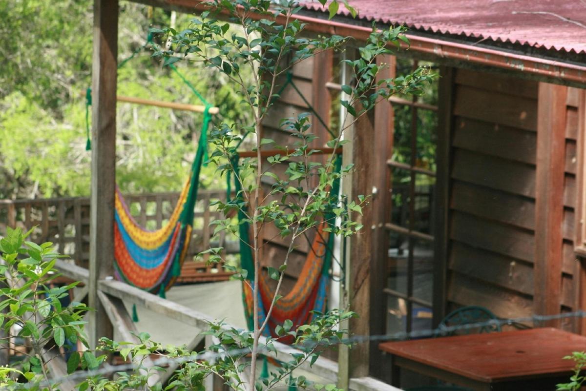 Relax in the hammock