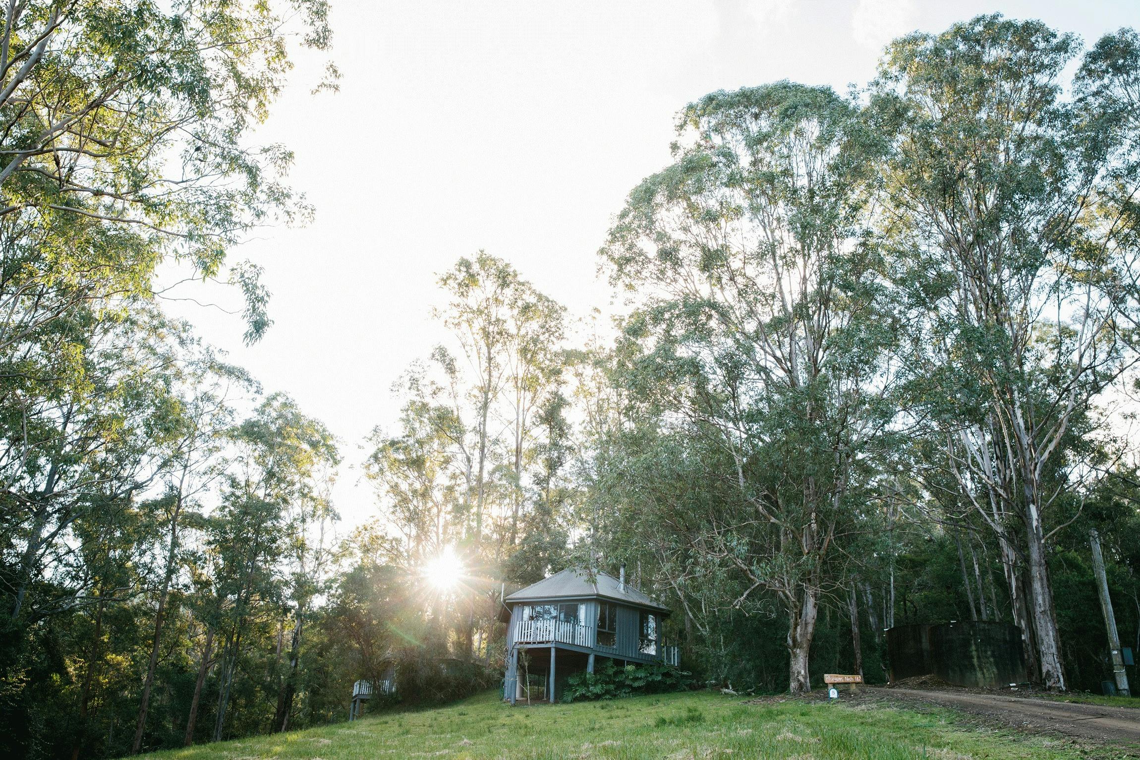 Bluegums Nest Cabins