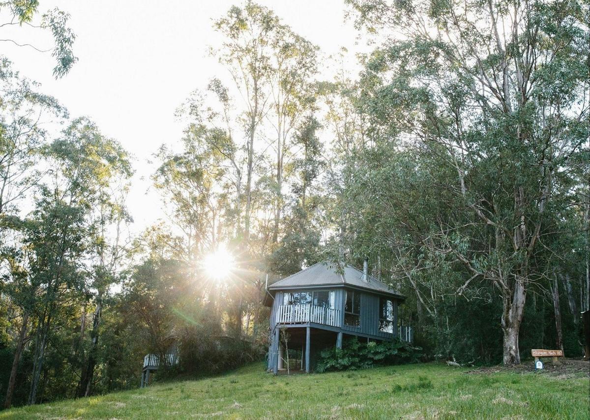 The Nest Barrington Tops