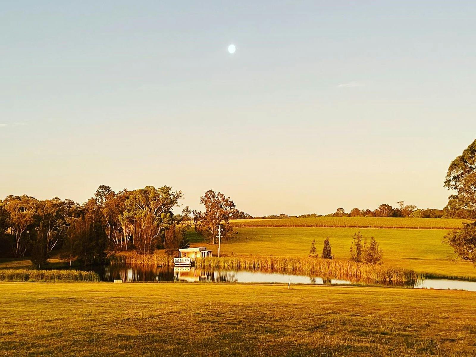 Belford Block Eight Hunter Valley