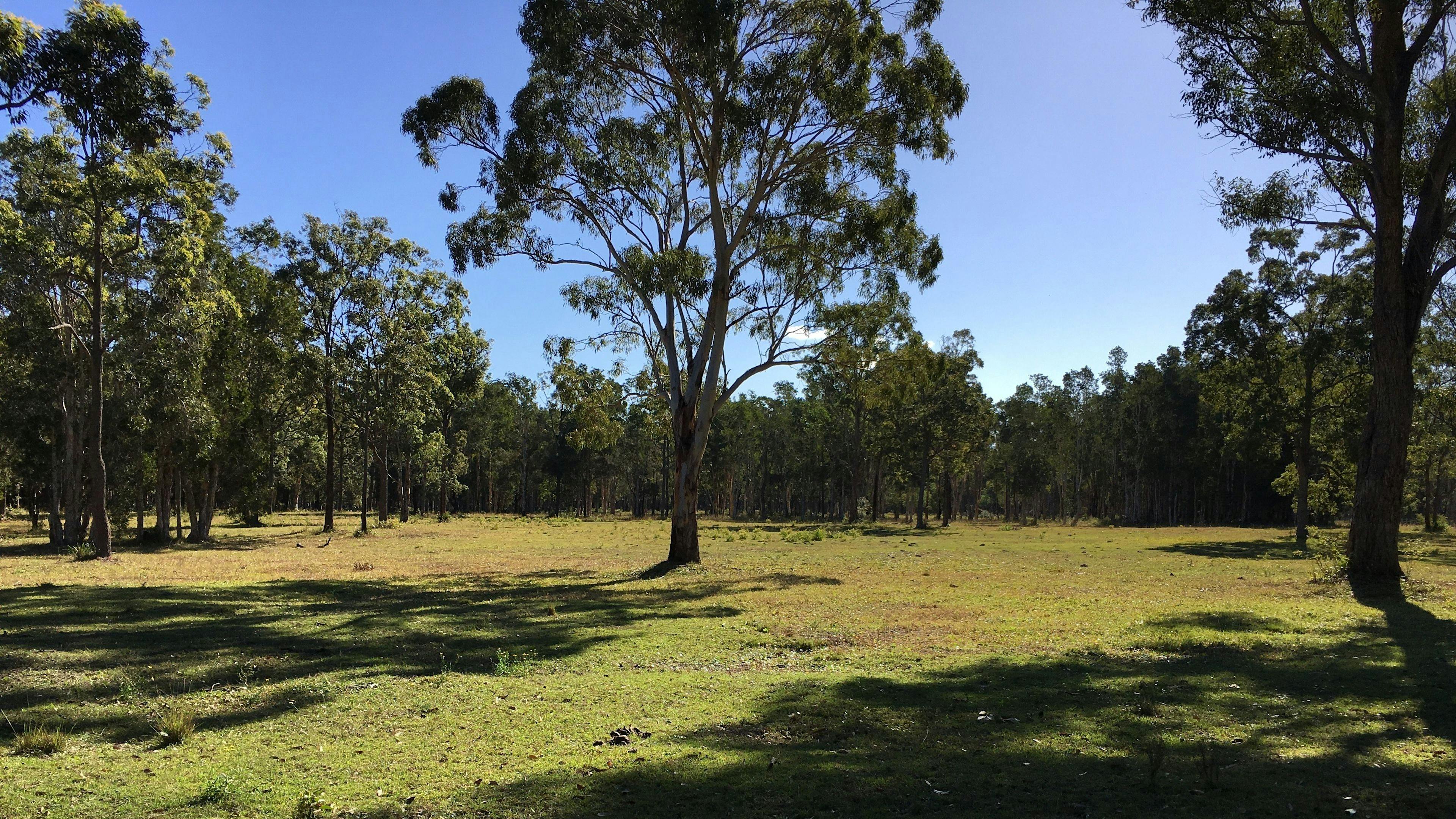 CLICK TO VIEW GALLERY