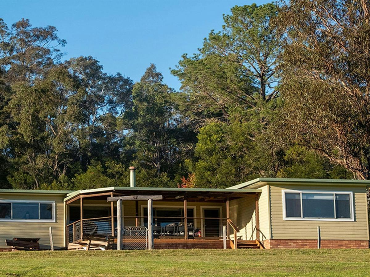 Big Yango House