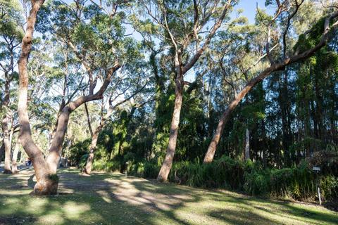 Off-grid Camping Site (Unpowered) | Tasman Holiday Parks - Racecourse Beach
