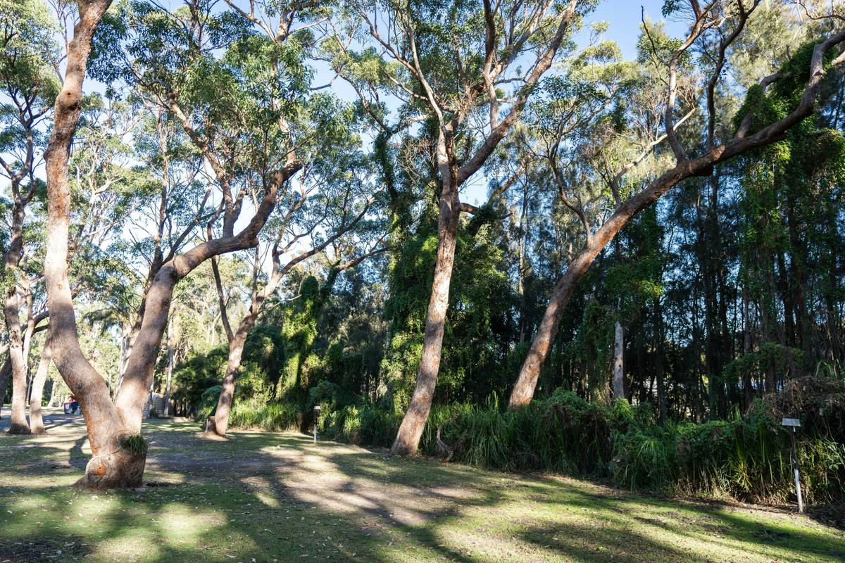 Off-grid Camping Site (Unpowered) | Tasman Holiday Parks - Racecourse Beach