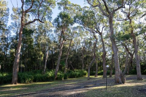 Off-grid Camping Site (Unpowered) | Tasman Holiday Parks - Racecourse Beach