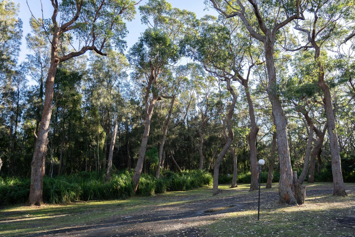 Off-grid Camping Site (Unpowered) | Tasman Holiday Parks - Racecourse Beach