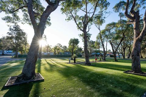 Premium Evergreen Powered Sites | Tasman Holiday Parks - Racecourse Beach