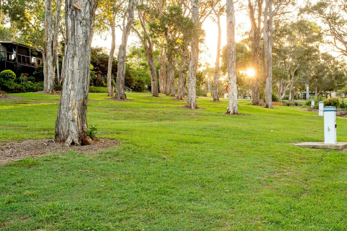 Powered Site - BIG4 Sawtell Beach Holiday Park