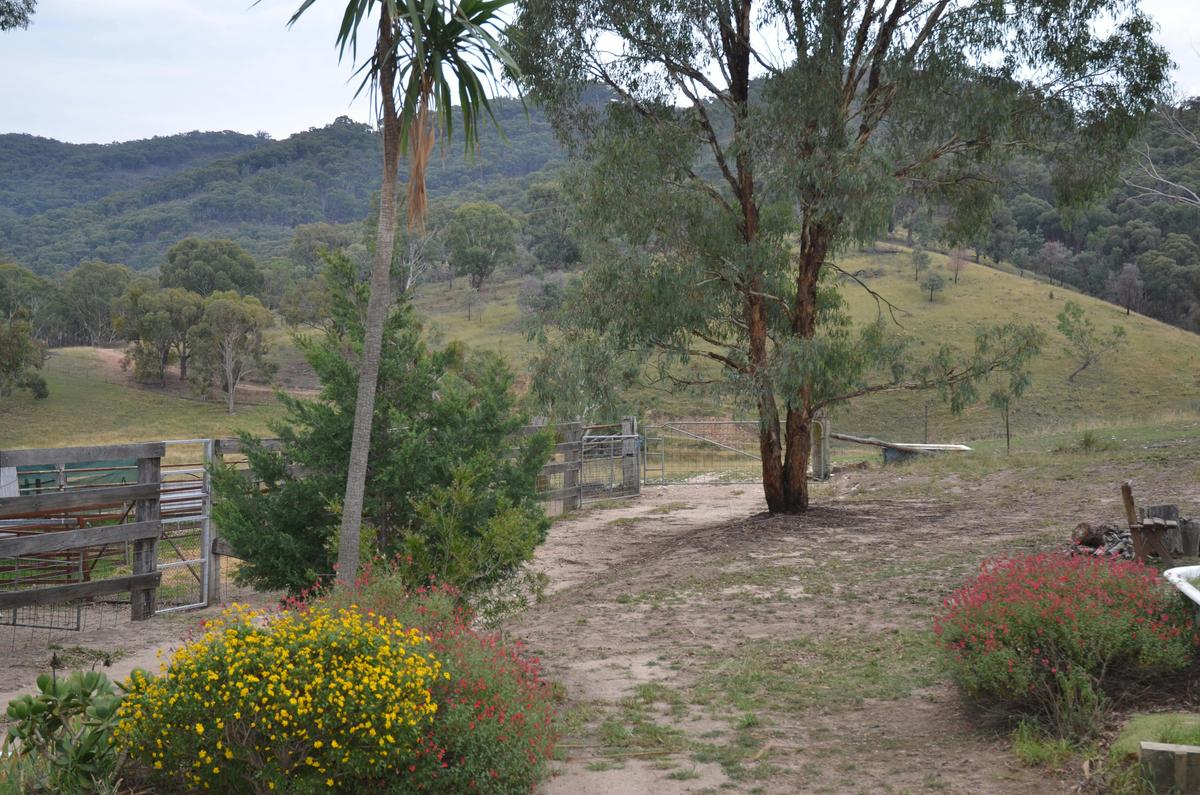 View from back verandah