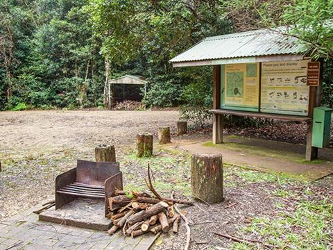 Bellbird campground