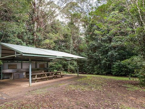 Bellbird campground