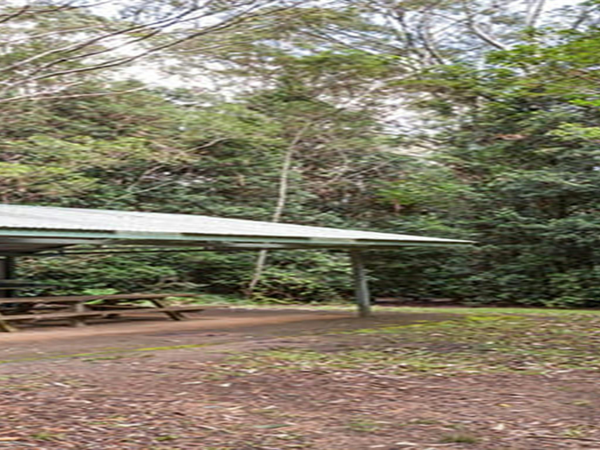 Bellbird campground with picnic shelter in Washpool National Park. Photo: Robert Cleary &copy; DPIE