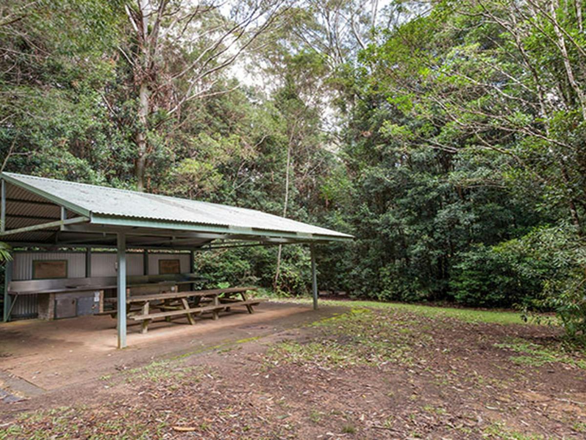 Bellbird campground with picnic shelter in Washpool National Park. Photo: Robert Cleary &copy; DPIE