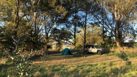 3 Veg Farm Bathurst