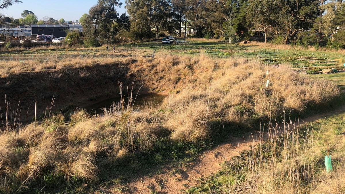 3 Veg Farm Bathurst