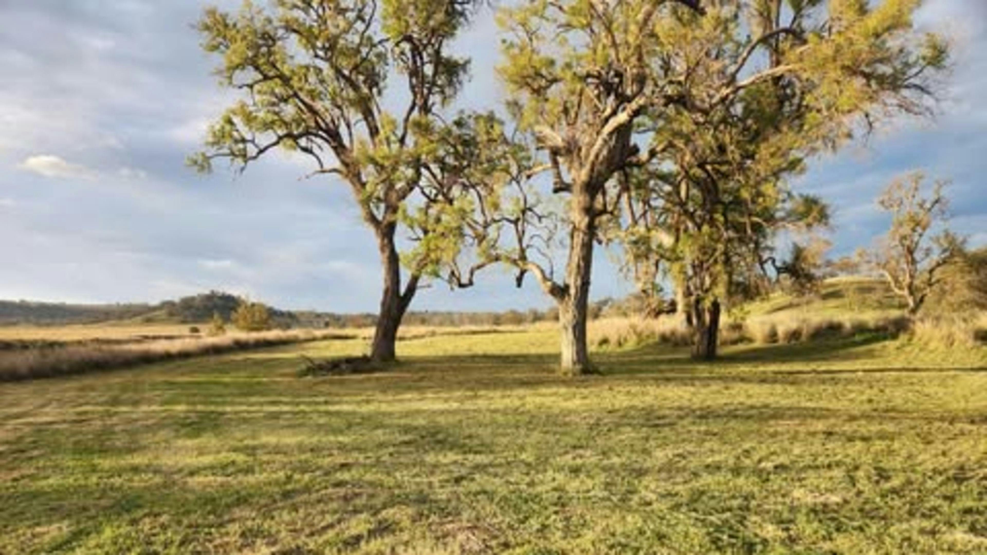 3A Camping experience.