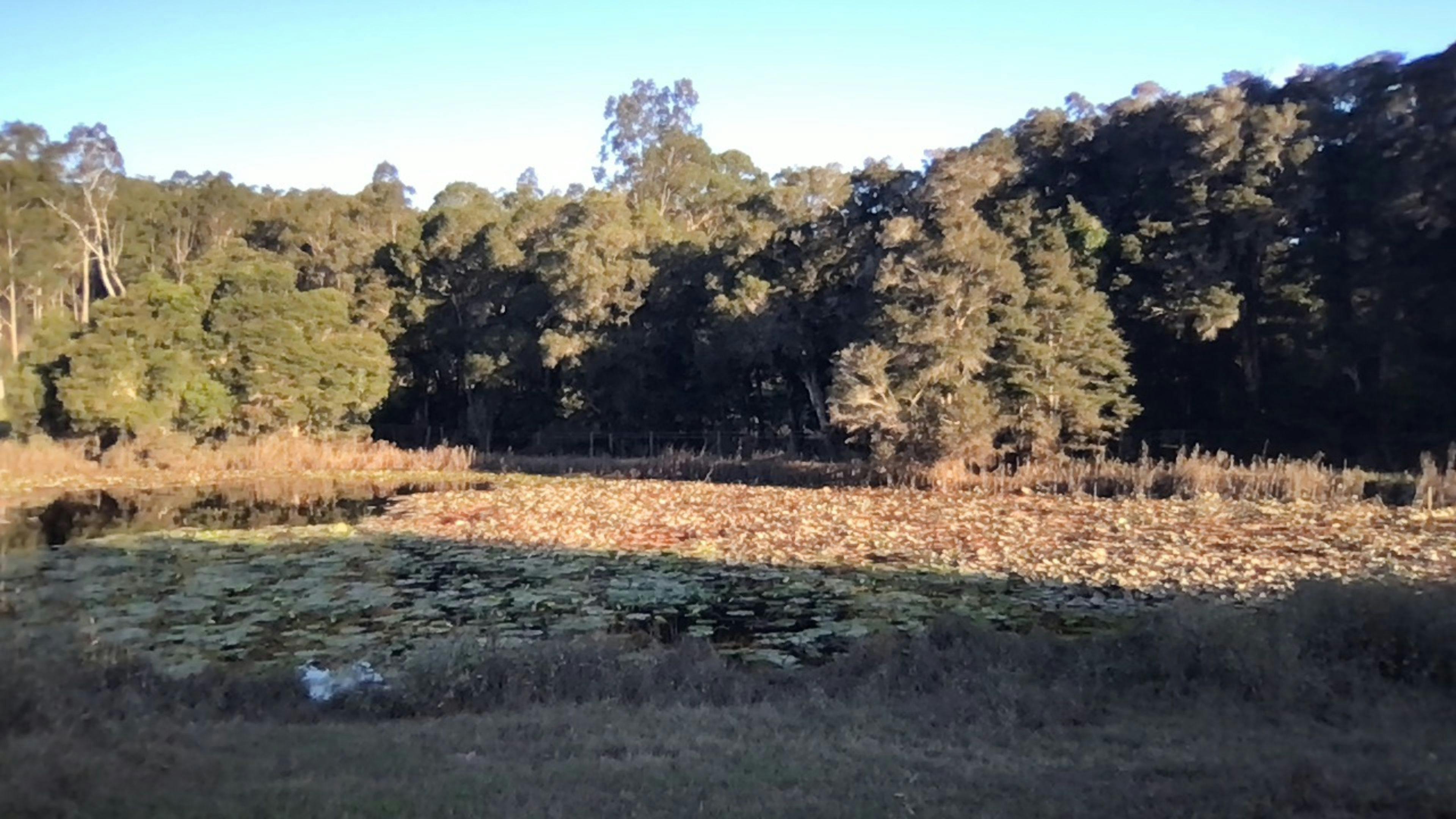"Erinvale" Camping by a Billabong