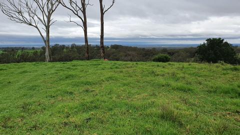 Above Syd at Trigonometry point