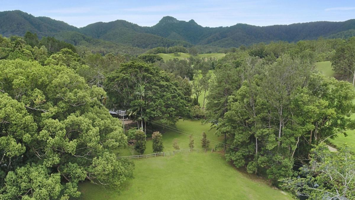Green grass & mountain views 