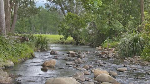 A Campsite on Crystal Creek