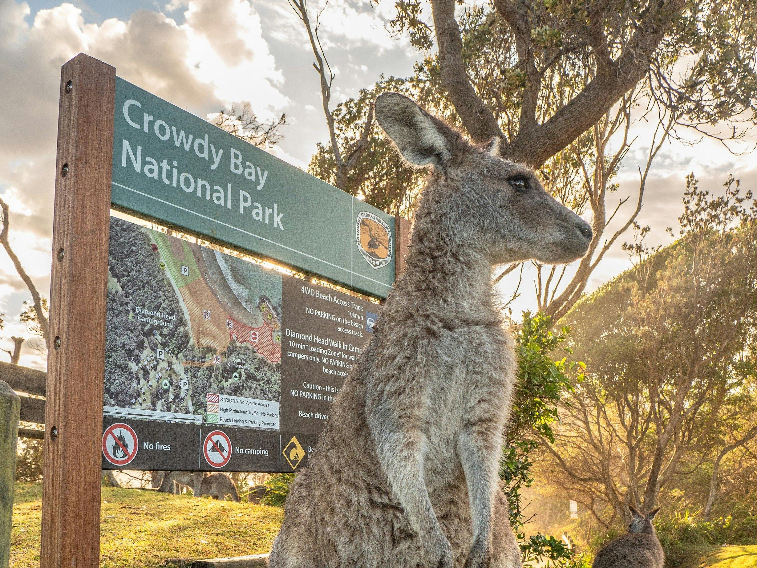 Diamond Head, Crowdy Bay National Park