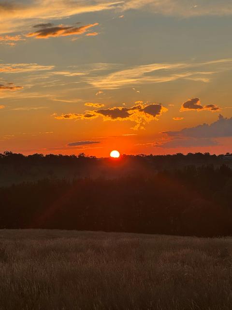 A Shearer's Quarters