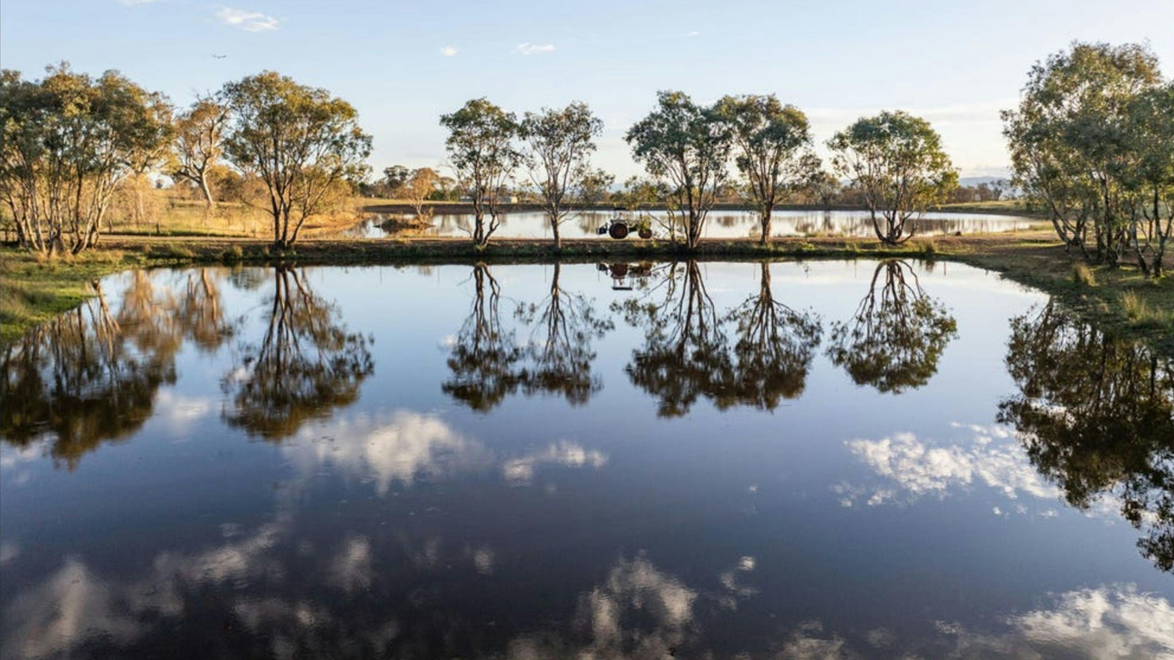 A Little Bit of Purple Farm