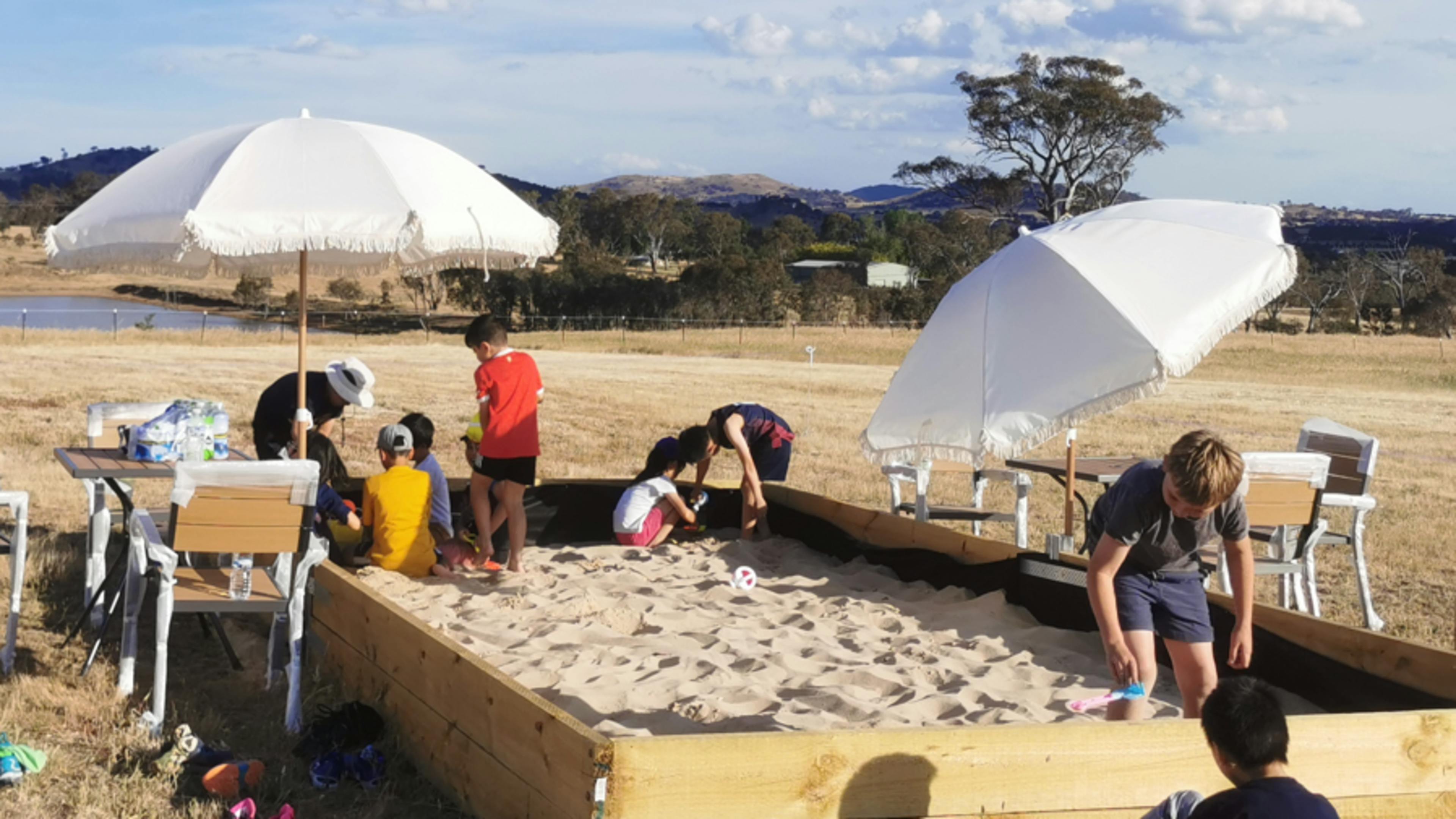 A Little Bit of Purple Farm