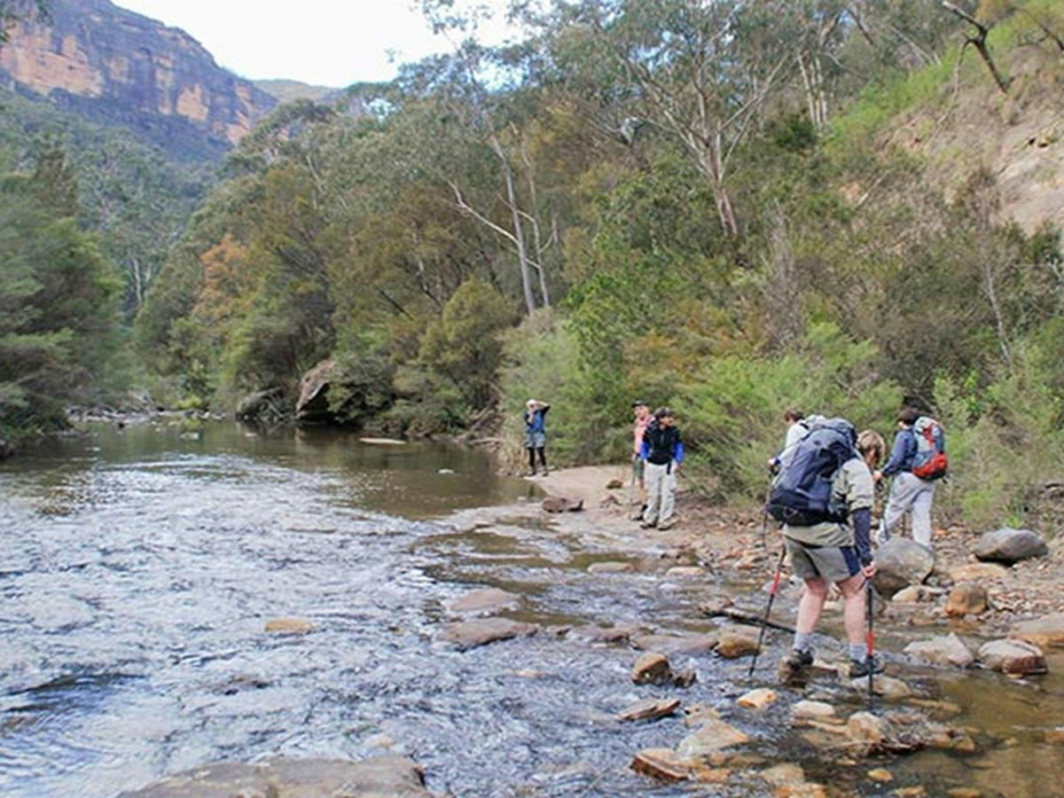 Acacia Flat campground, Blue Mountains National Park. Photo: A Gliddon/NSW Government