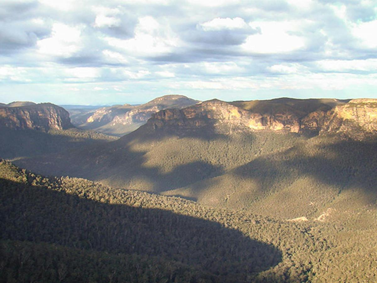 Acacia Flat campground, Blue Mountains National Park. Photo: Steve Alton/NSW Government