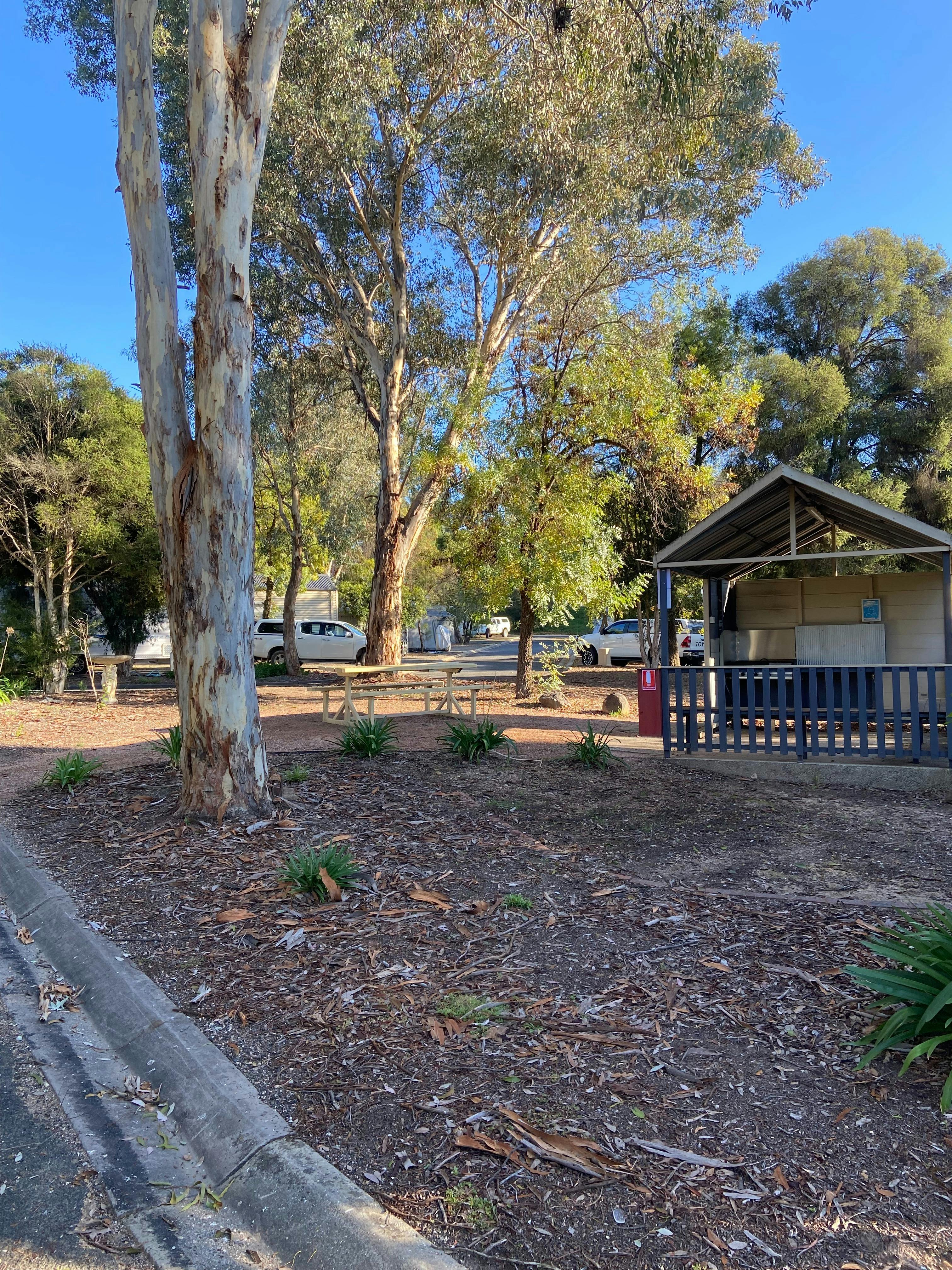 The park is peaceful and quiet and full of trees