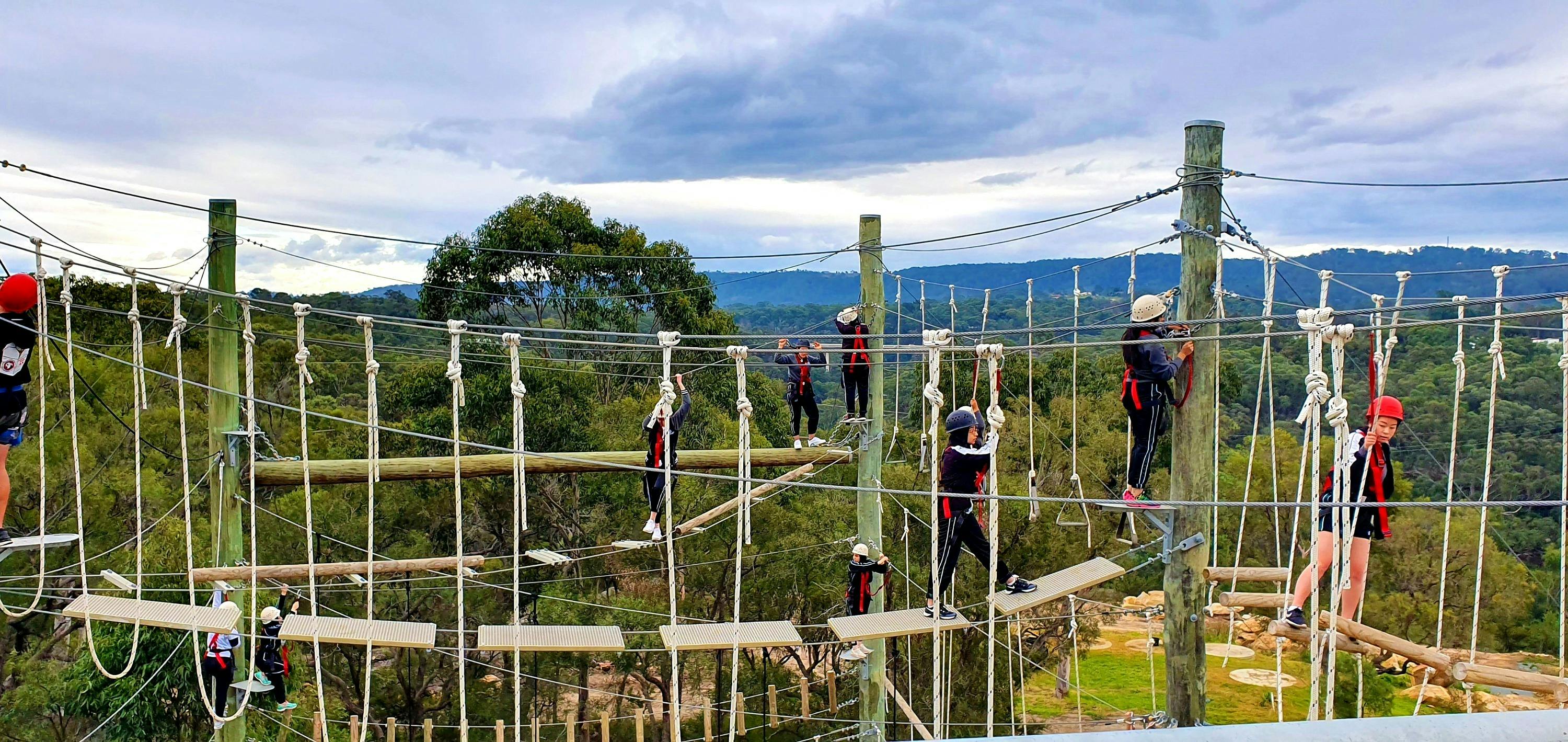 High Ropes Course