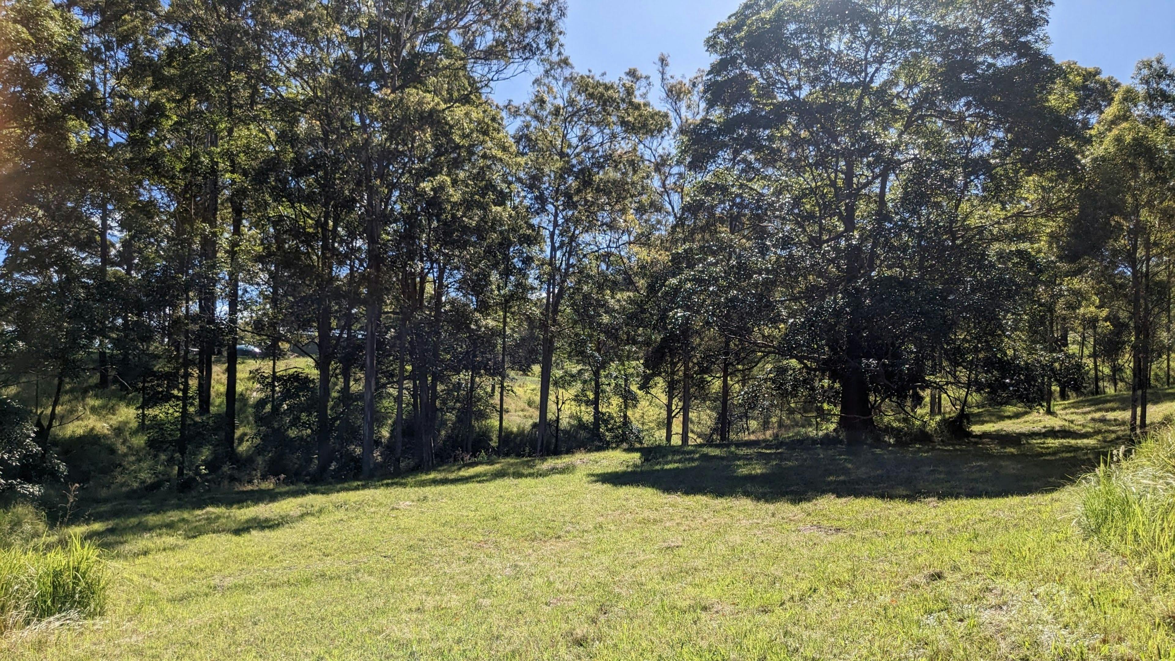 valley in the middle of the property
