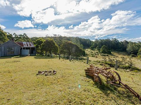 Alexanders Hut campground