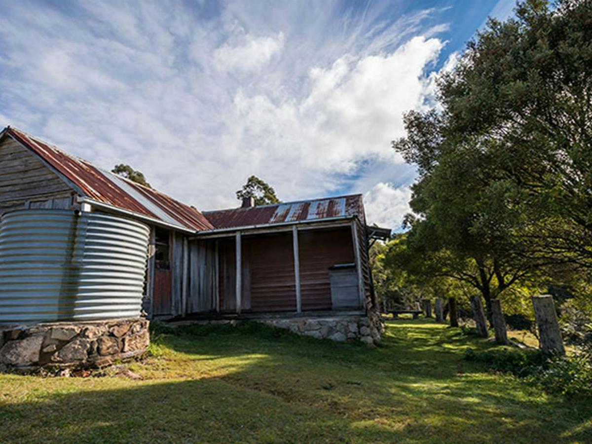 Alexanders Hut campground