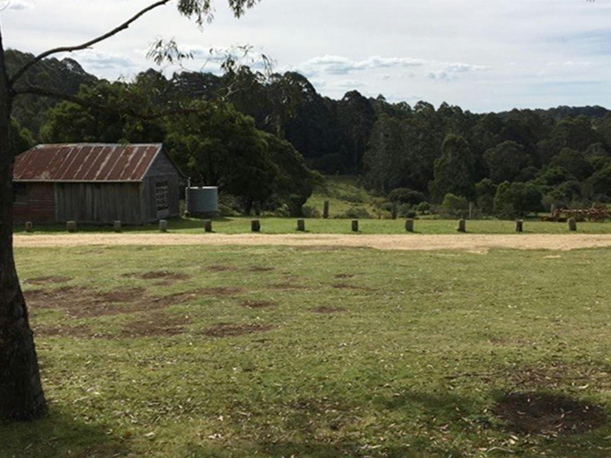 Alexanders Hut campground