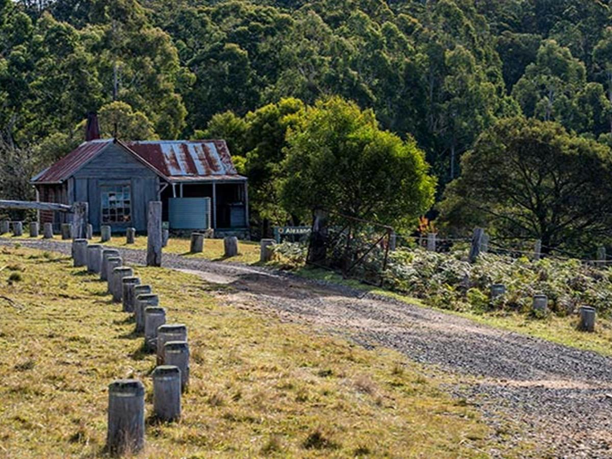 Alexanders Hut campground