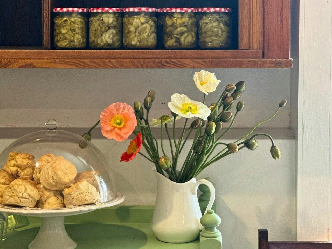 Salters Café offer greta coffee, delicious country lunch, scones, pickles and relish.