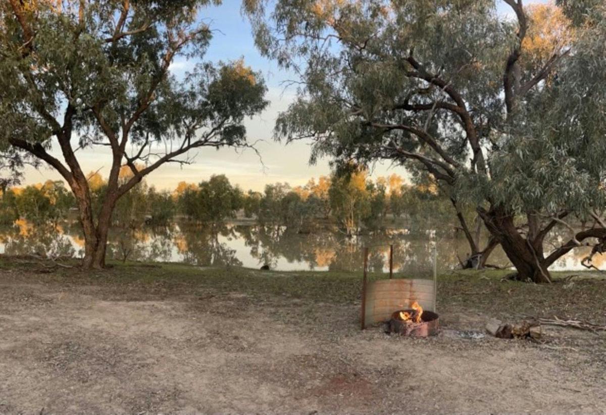 Allambie's Camp