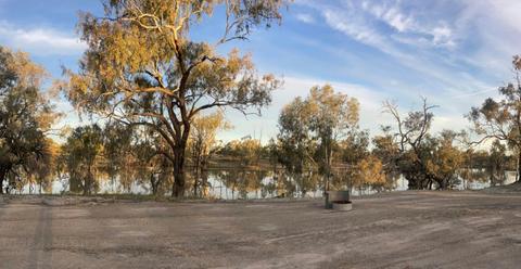 Allambie's Camp