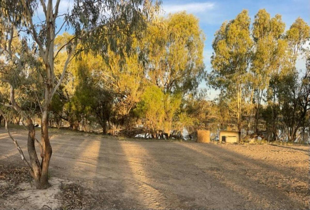 Allambie's Camp