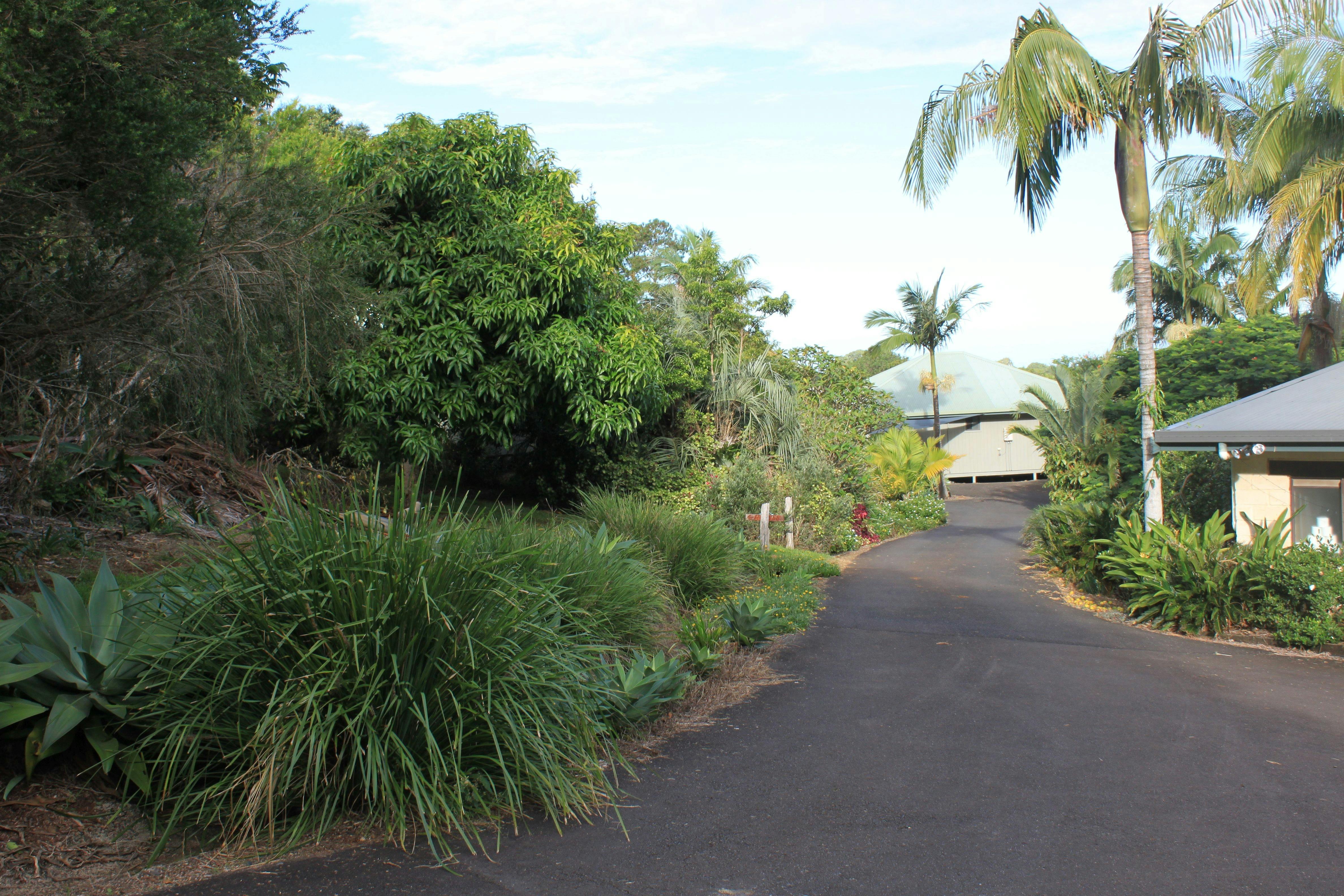 Driveway and gardens