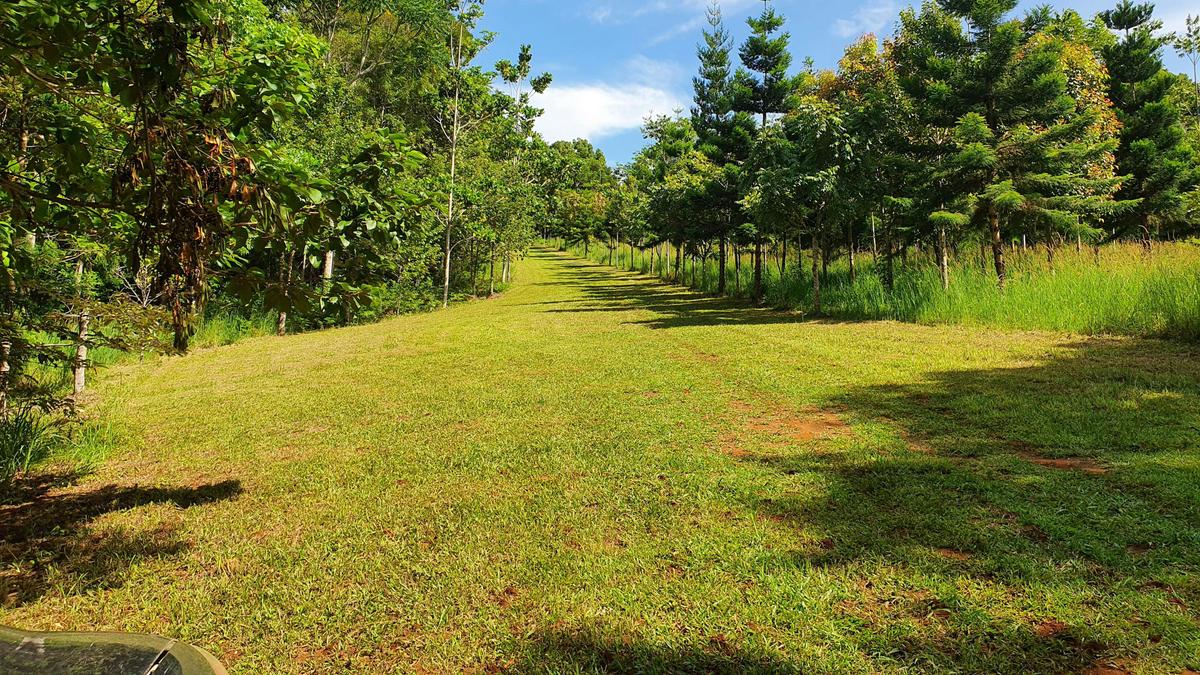 Anandaland: Land of Bliss